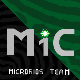 M1C_Gamarra's emblem