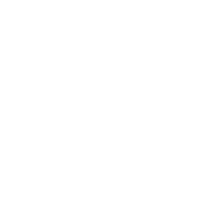 Zapo1988's emblem