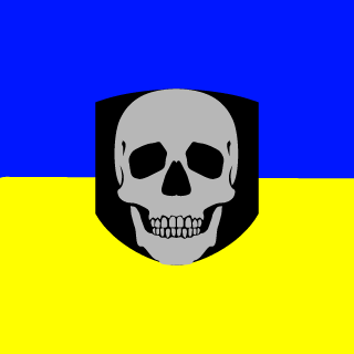WhiteVoid9612's emblem