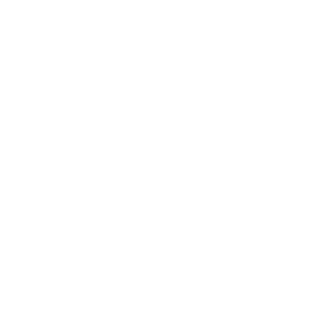 e2dr310's emblem