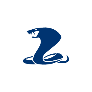 brandon998800's emblem