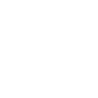 cyrbipl's emblem