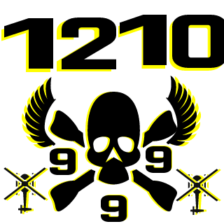 DerFahrlehrer1's emblem