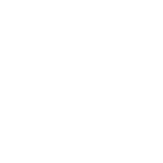 xBlady's emblem