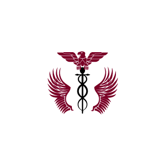 SkazeHD's emblem