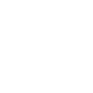 Viento1597's emblem