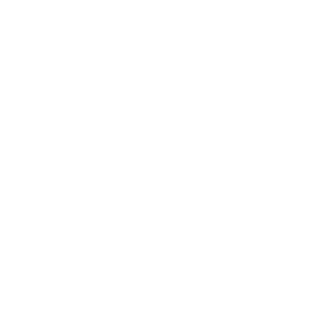 1TiT337's emblem