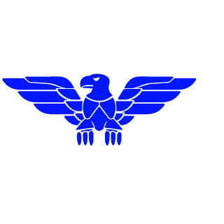 Cycloon29's emblem