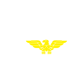 UltimateRanger44's emblem