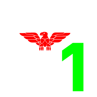 2130791090055's emblem