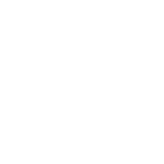 T-CHREX's emblem