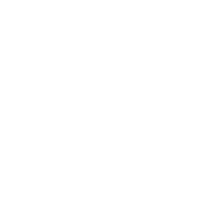 FINCL's emblem