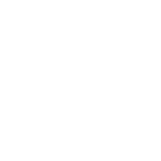 Chapp55's emblem