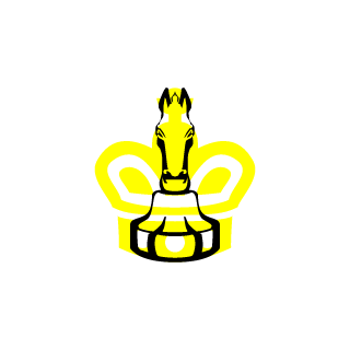 11VISIBLE11's emblem