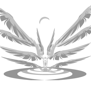 Riborn99's emblem