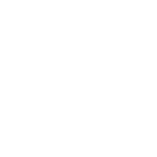 xNpc's emblem