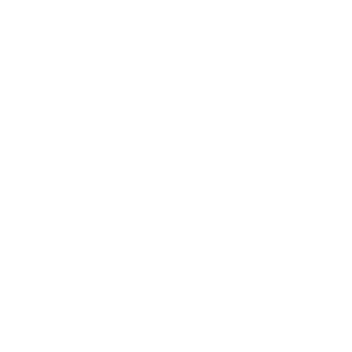 SL1D3RS's emblem