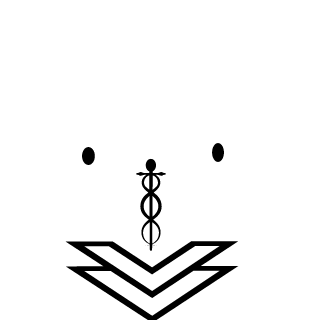 69Dasher69's emblem