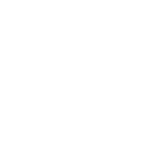 PLA2PAO's emblem