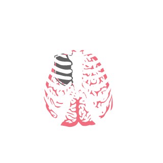 Arcticwolf213's emblem