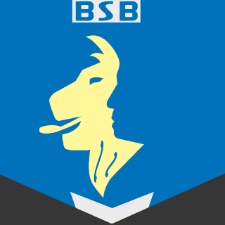 MikeLeetorys's emblem