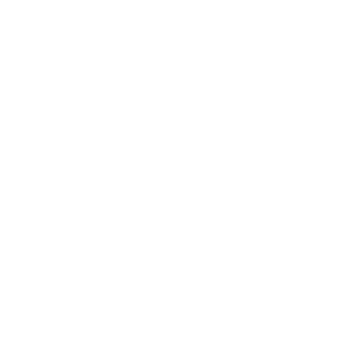 SP_Agent_L0L's emblem