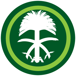 vv500's emblem