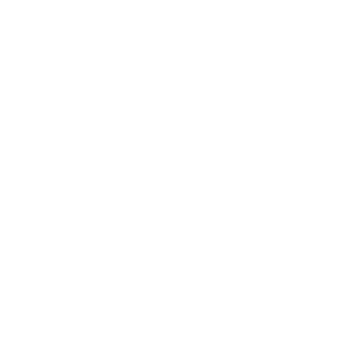 MegaSuperDuck's emblem