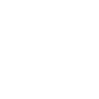 Dyego12345's emblem