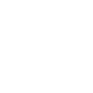TallaHeat's emblem