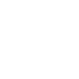 TimiryaevAl's emblem