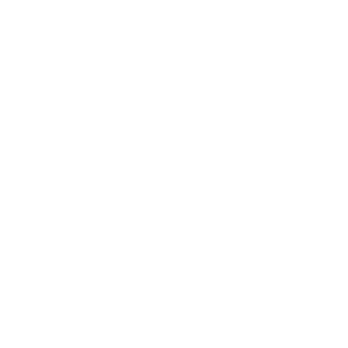 Flashzilla's emblem