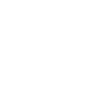 sidwar13's emblem
