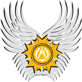 HNG-NightHawk's emblem