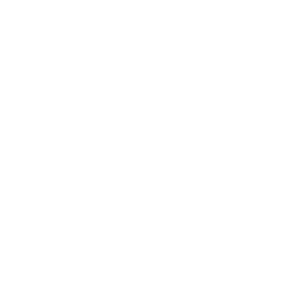 Levaniscute's emblem