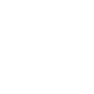 venepsilon's emblem