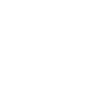 IIlIlIIIlIlIIll's emblem