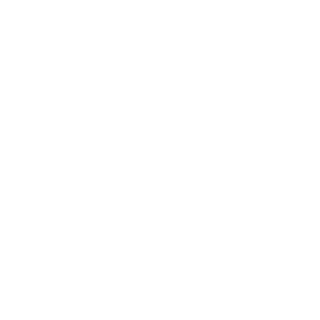 RandomGuy7's emblem