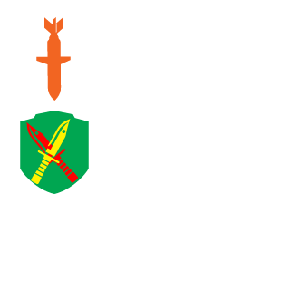 CrazyKillr952's emblem