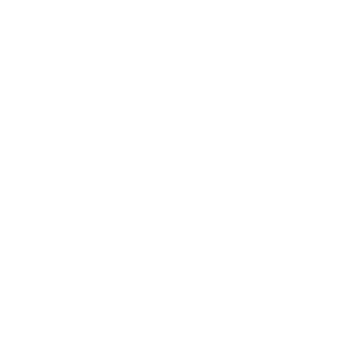 75_Rhenium's emblem