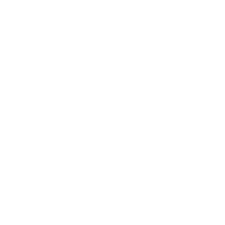 Sibirskij54's emblem