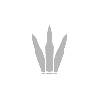 cassmetal's emblem