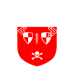 12696871217510's emblem