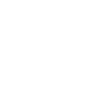 rielnano's emblem