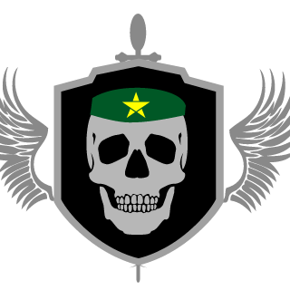 Siqu3ir4's emblem