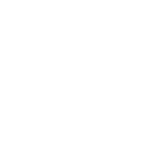 e5dde916fb84d725's emblem