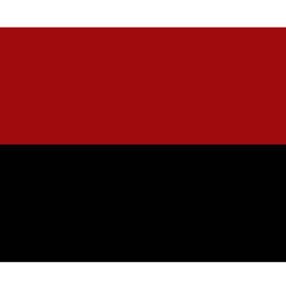 SKVOZNOE's emblem