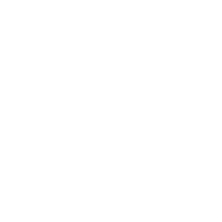 renan2525's emblem