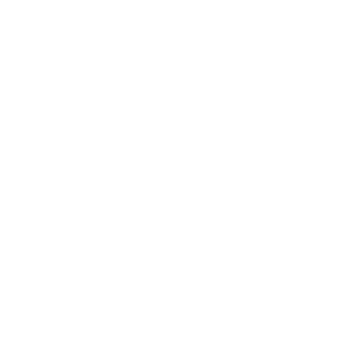 STAN12352's emblem
