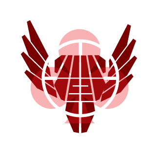 DecisiveFob852's emblem
